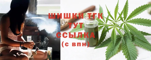 дмт Богданович
