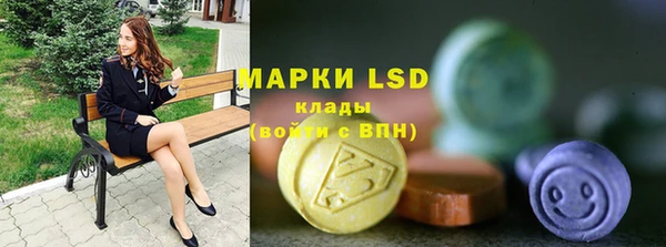 дмт Богданович