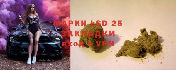 прущие грибы Богородск