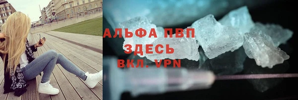 прущие грибы Богородск