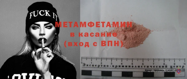 прущие грибы Богородск