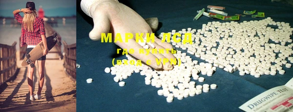 дмт Богданович