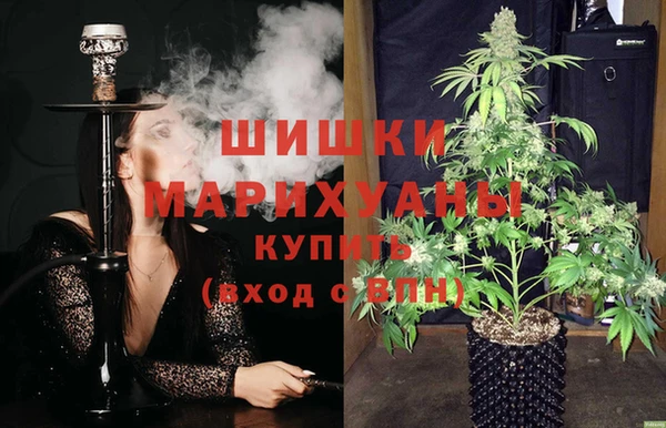 дмт Богданович
