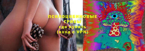 дмт Богданович