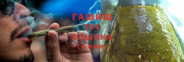 дмт Богданович